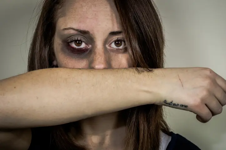 la perspectiva legal de la violencia doméstica