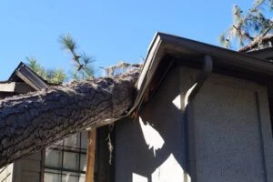 Roof damaged from tree that fell over during hurricane storm representing the concept of Property Damage