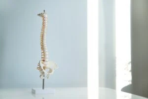 Spinal Cord Injury