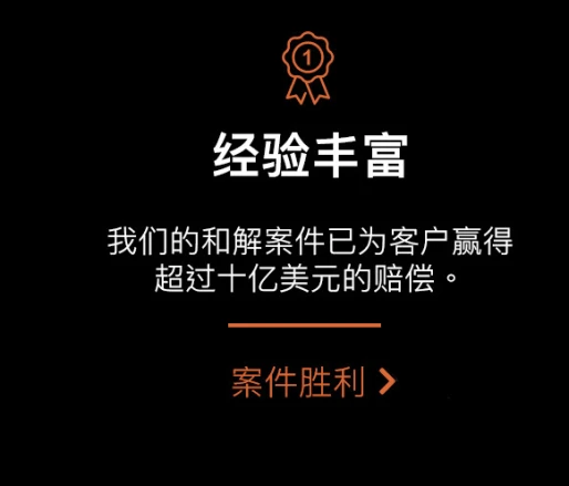 案件结果