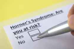 Horners System questionnaire
