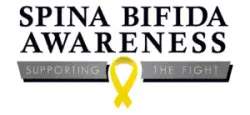 Spina Bifida Awareness Ribbon