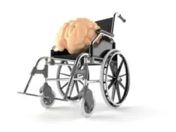 An image of a brain on a wheelchair
