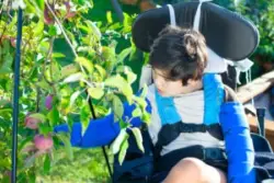 A child with cerebral palsy picking fruit in an orchard