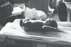 Newborn is getting weighed in a hospital