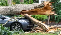 Guide to Commercial Hurricane Insurance Claims