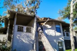 What to Do if My Hurricane Damage Claim Is Underpaid?