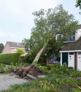 What to Do if a Home Insurance Estimate is Less Than Quotes
