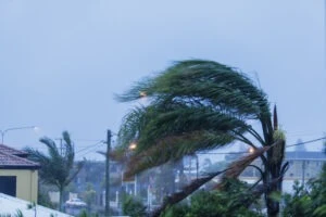 What to Do if Business Property Is Damaged or Destroyed in a Hurricane