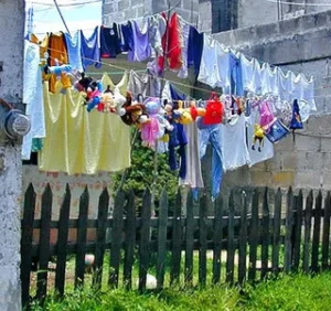Right To Dry