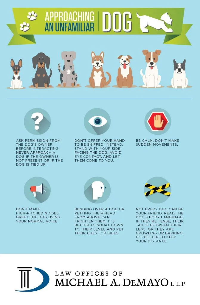 How to Properly Approach a Dog [INFOGRAPHIC]