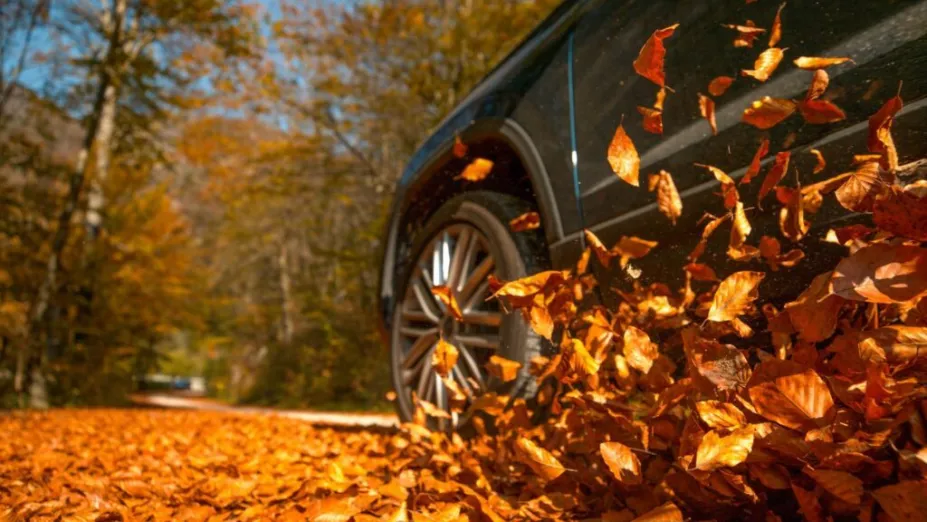 How to Prevent Autumn Car Accidents