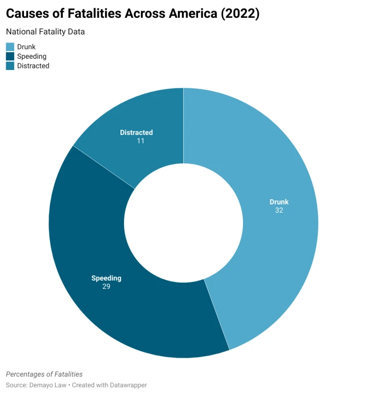 Causes of fatalities across America 2022