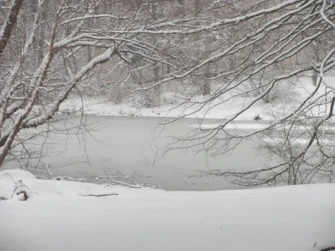 Winter pond