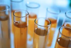 glass test tubes with brown water