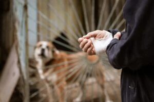 A man with an injured hand with a dog in the background, wondering how long it takes for a dog bite settlement.