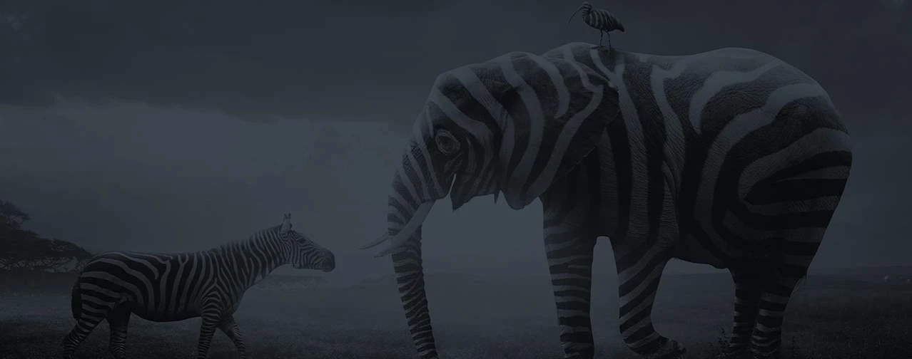 Conversion Rate Optimization (CRO) Services