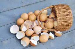An overturned basket of broken eggs, symbolizing the loss of money due to an overconcentration of a client’s investment in violation of FINRA Rule 2111.