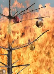 Deadly Christmas Tree House Fires