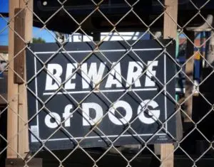 Dog Attacks in Georgia