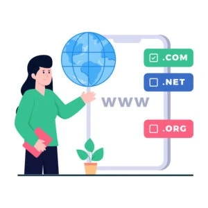 Deciphering the Worth The Influence of Domain Extensions on Domain Value