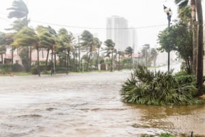 Homeowner&rsquo;s or Renter&rsquo;s Insurance for Hurricane Damage