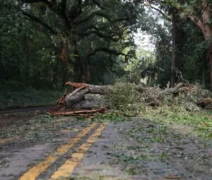 Severe Storms Hit Central and Southern Louisiana on May 13, 2024, Causing Damage and Power Outages