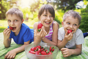 The Importance of Healthy Diets for Kids - Protein Bars The Importance of Healthy Diets for Kids