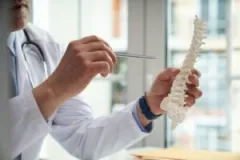 A medical professional, faceless, examines a model spine and spinal cord.