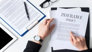 Woman Reading Insurance Policy on Her Desk