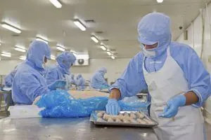 food production line employees at work