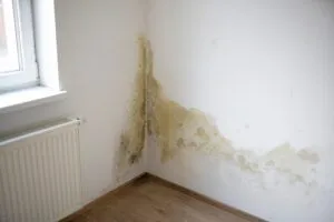mildew stains on wall