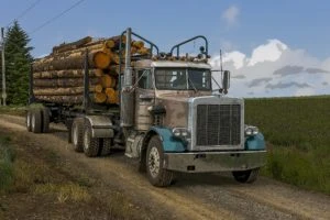 logging truck carrying load