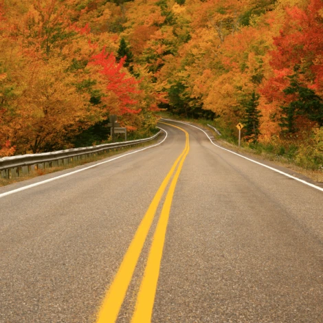 Fall Driving Tips