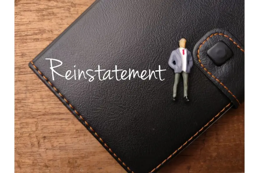reinstating-your-professional-license-after-revocation