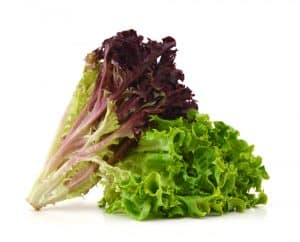 lettuce