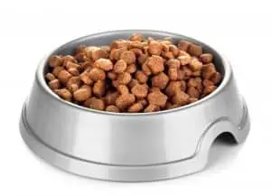 Nine Brands of Dog Food Recalled due to Vitamin D Toxicity