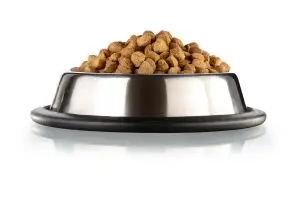Three Types of Dog Food Recalled