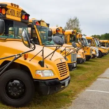 How are School Bus Accidents Different from Other Automobile Accidents?