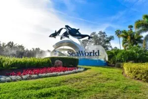 SeaWorld Orlando Slip and Fall Lawyer in Florida