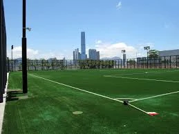 grassy land and city skyline