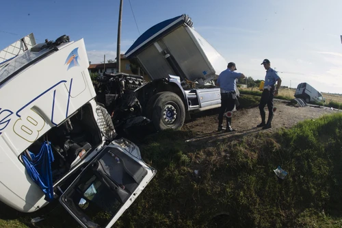 Rollover Accidents