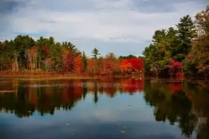 panoramic view of scenic Boston lake and forest