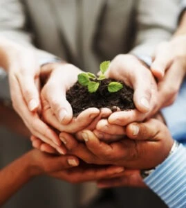 multiple hands holding soil with a growing plant