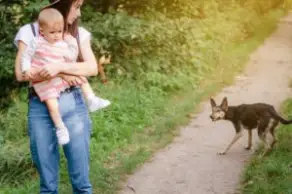mother keeping her child away from a wild dog