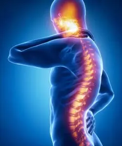Levittown Spinal Cord Injury Lawyer