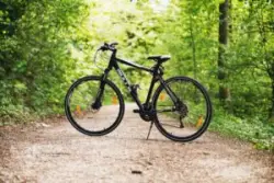 Photo of a bike on a forest trail