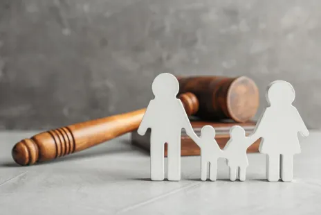 Do It Yourself Family Law Package