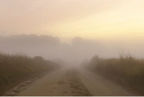 Fog on a road