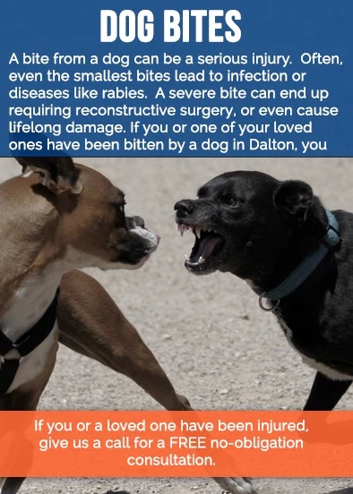 dog-bites-dalton